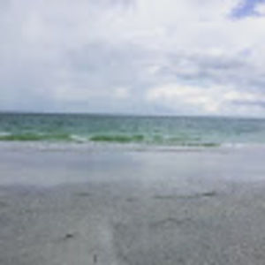 Meet your Posher, Dulce